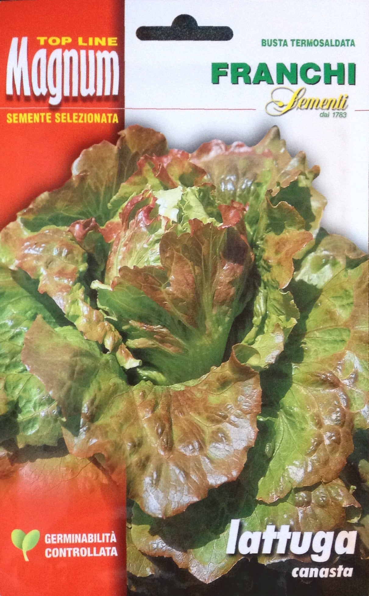 Lettuce Maravilla de Verano Canasta (79-72)