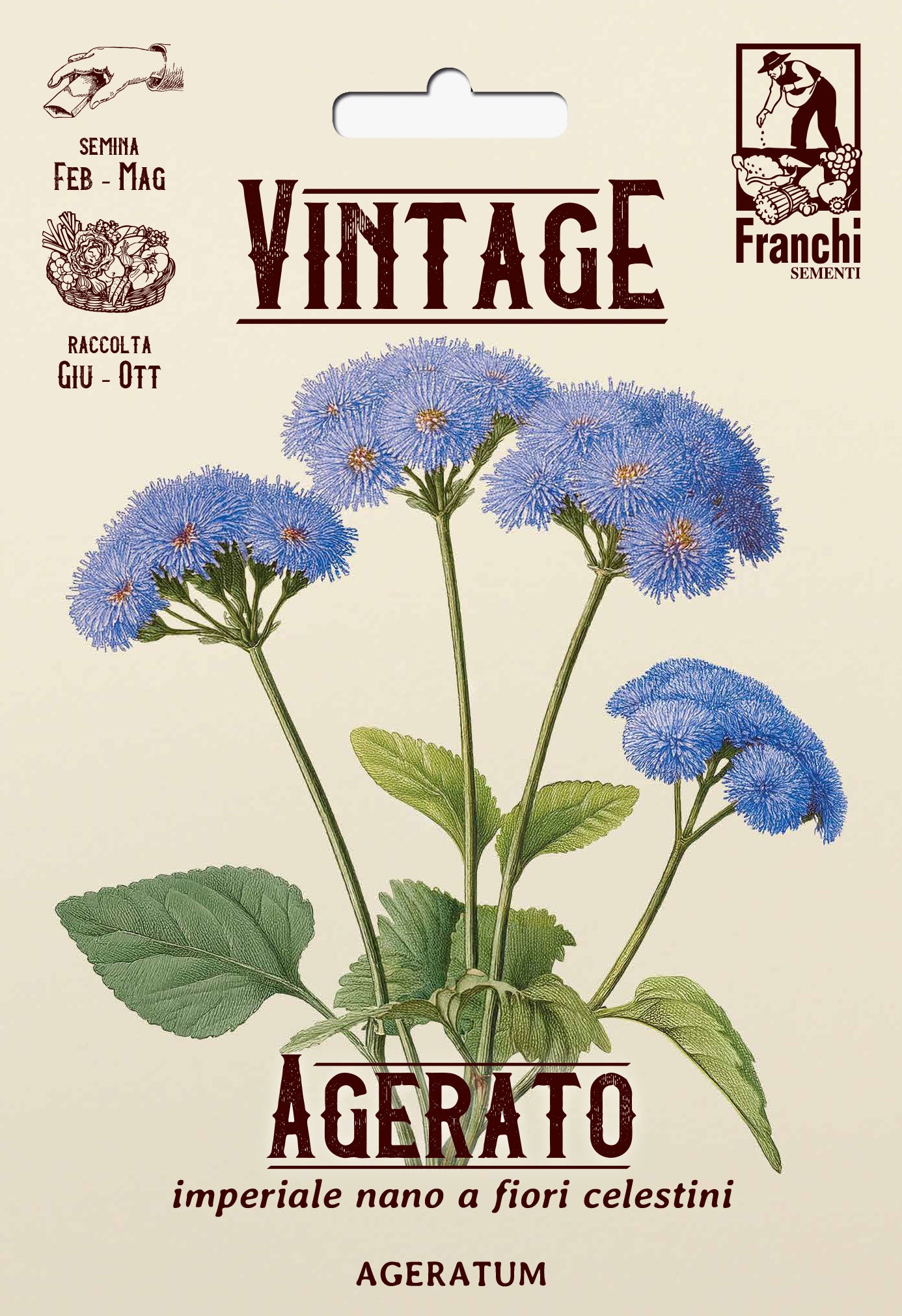 Vintage 1928 Dwarf Ageratum or Bluemink – Seeds from Italy