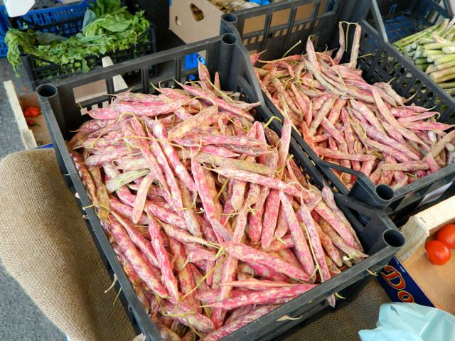 Shelling beans are hugely popular in Italy and this variety is especially well-loved.