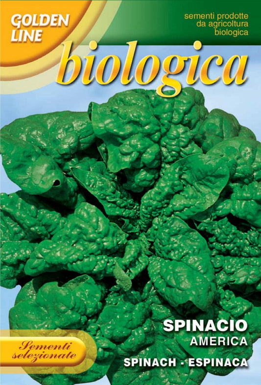 Spinach America -- Certified Organic (127-18B)