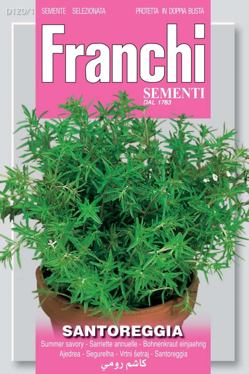 planting summer savory seeds Summer Savory/Santoreggia (120-1) – Seeds from Italy