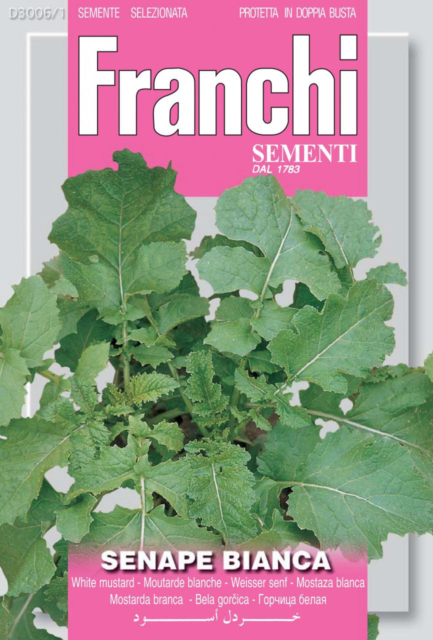 white mustard seeds for planting White Mustard/Senape Bianca (3006-1)