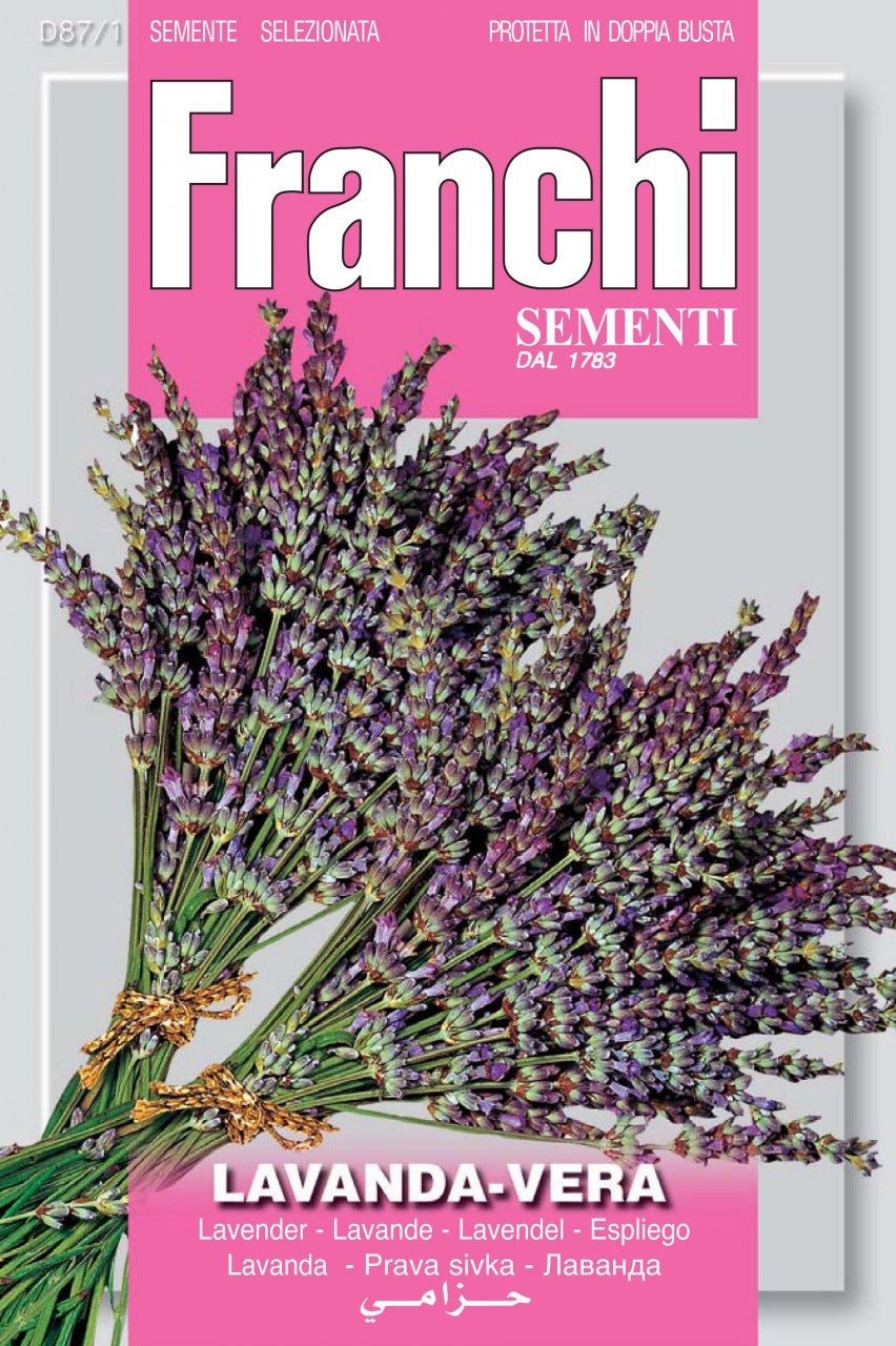 lavender seeds to buy True Lavender / Lavanda Vera (87-1) – Seeds from Italy