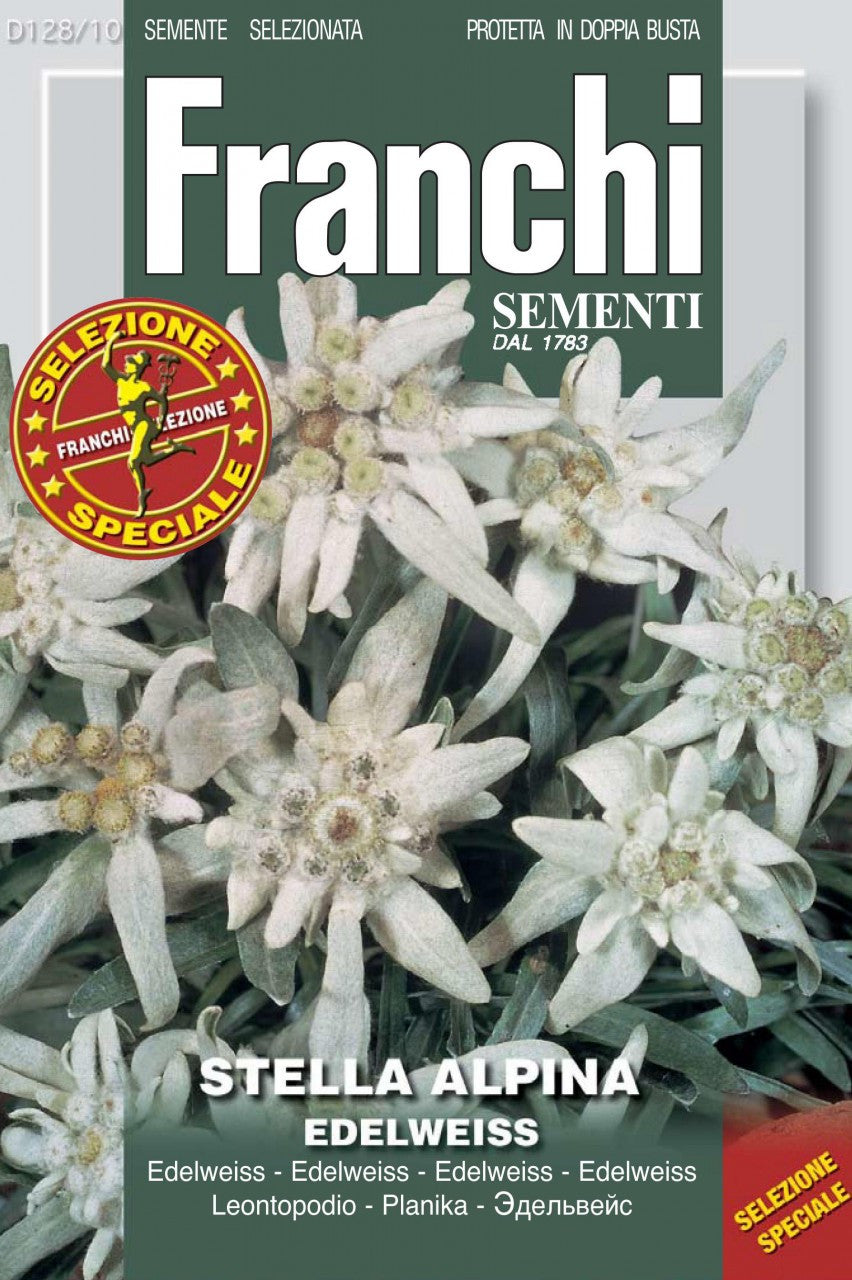 edelweiss flower seeds Stella Alpina or Edelweiss (128-10)