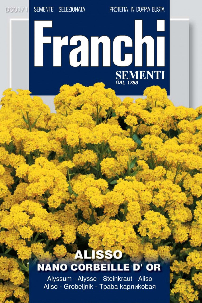 Golden Alyssum (301-1)