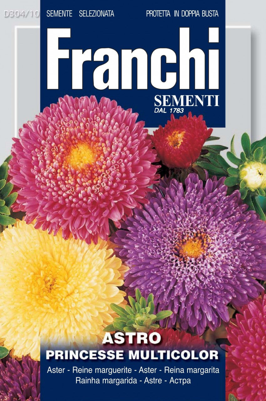 aster flower seeds Aster Princess Mix (304-10) – Seeds from Italy