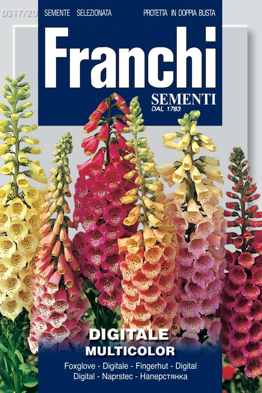 plant foxglove seeds Foxglove (317-20) – Seeds from Italy