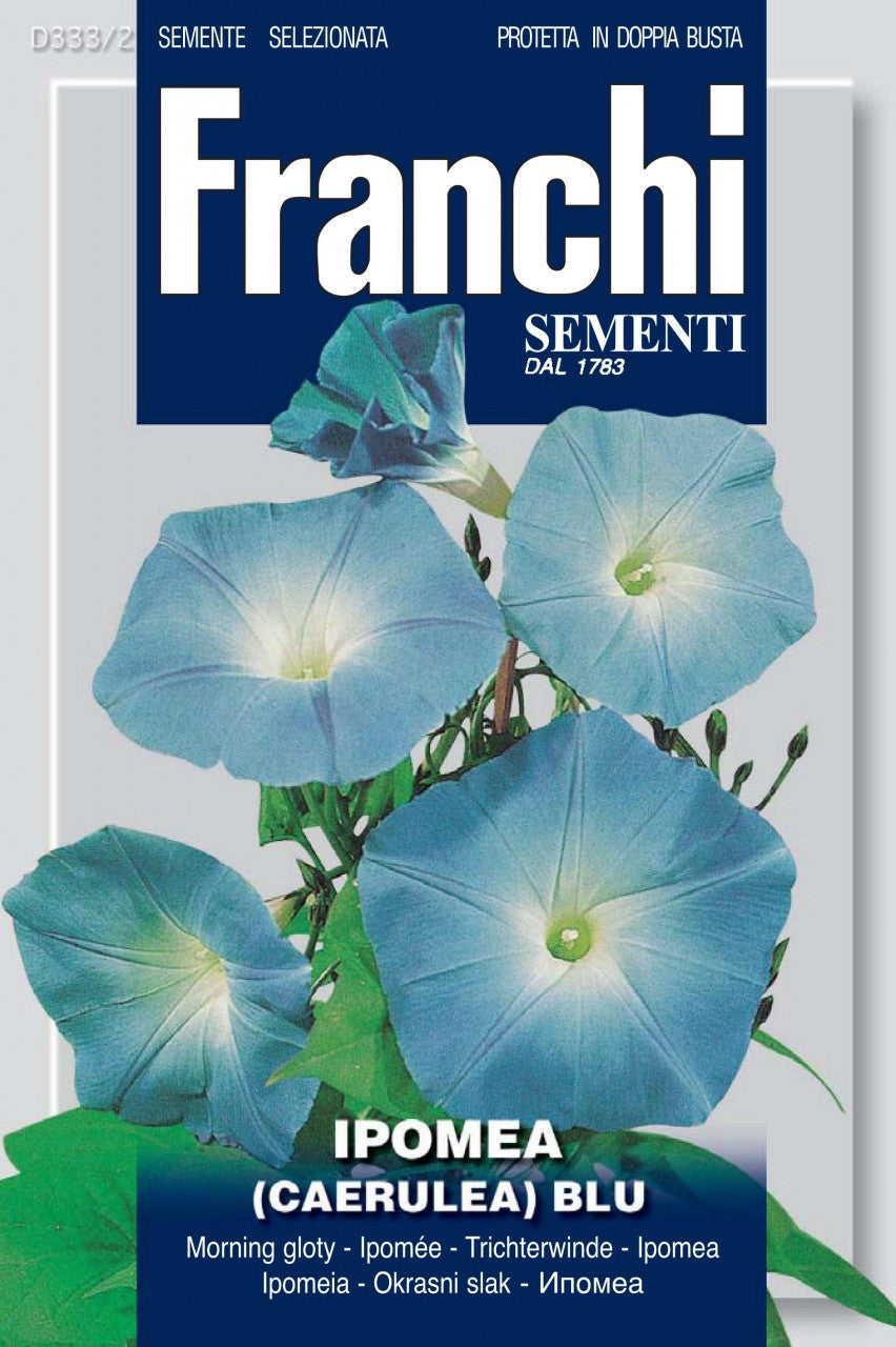morning glory seed packets Ipomea Blu