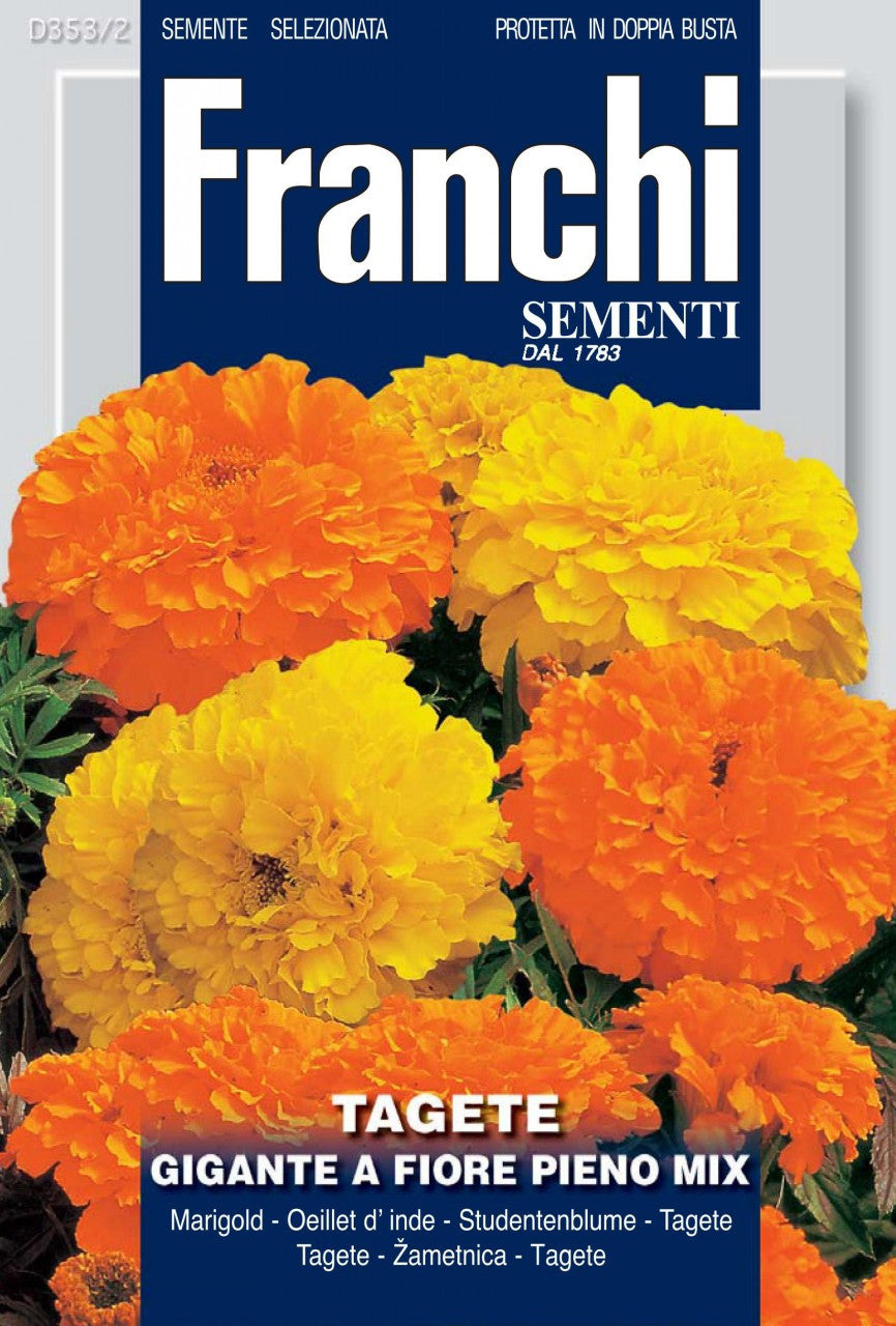 giant marigold seed Marigold Giant Mix (353-2)