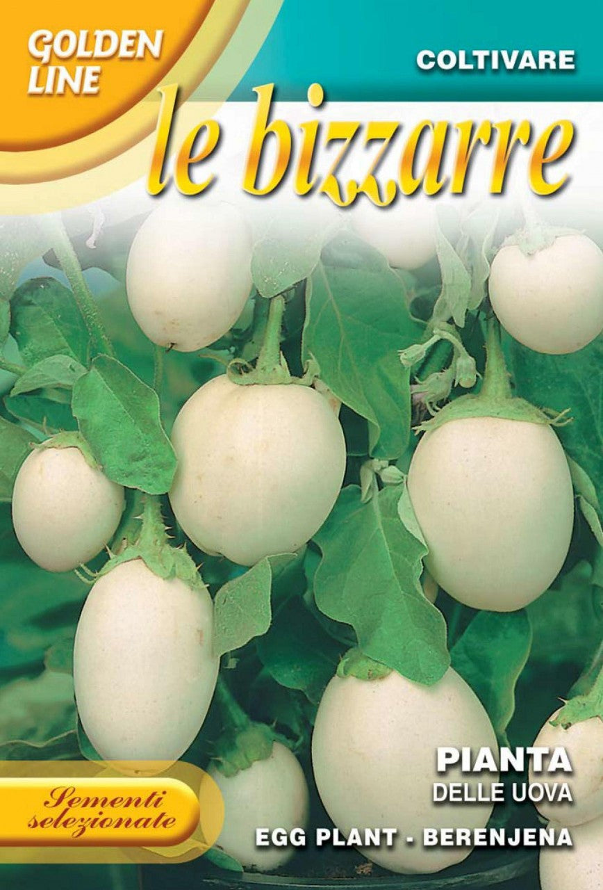 egg plant seed Eggplant Pianta Delle Uova (343-10) – Seeds from Italy
