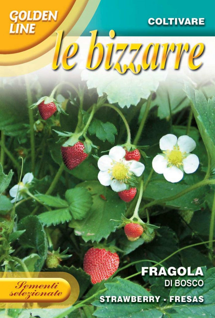 wild strawberry seeds for sale Strawberry Woodland Fragola di Bosco (63-3) – Seeds from Italy