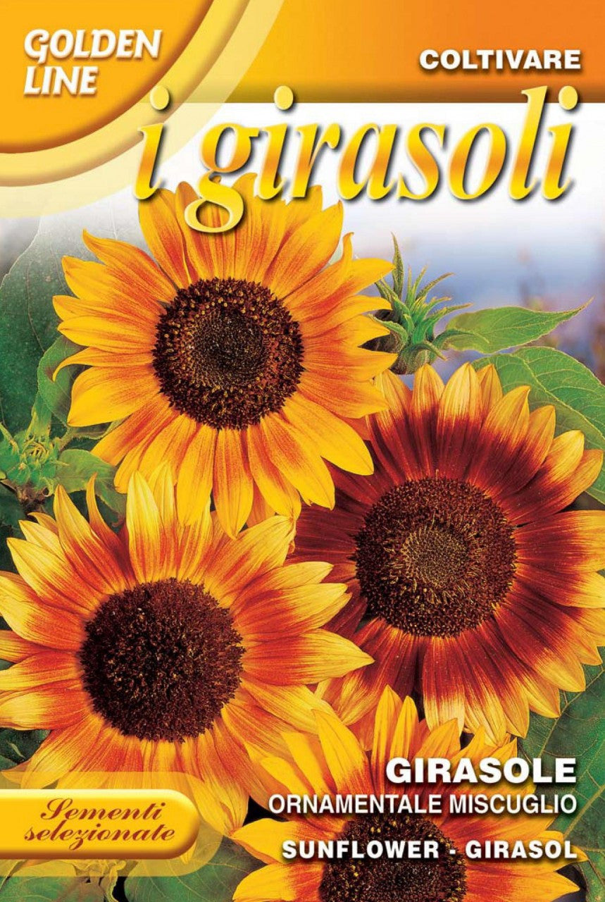 large sunflower seeds to plant Giant Sunflower Mix (329-1) – Seeds from Italy