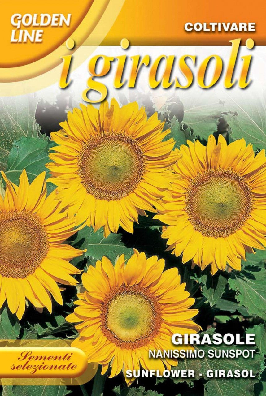 where to buy sunflower seeds to plant near me Sunflower Sunspot (329-3) – Seeds from Italy