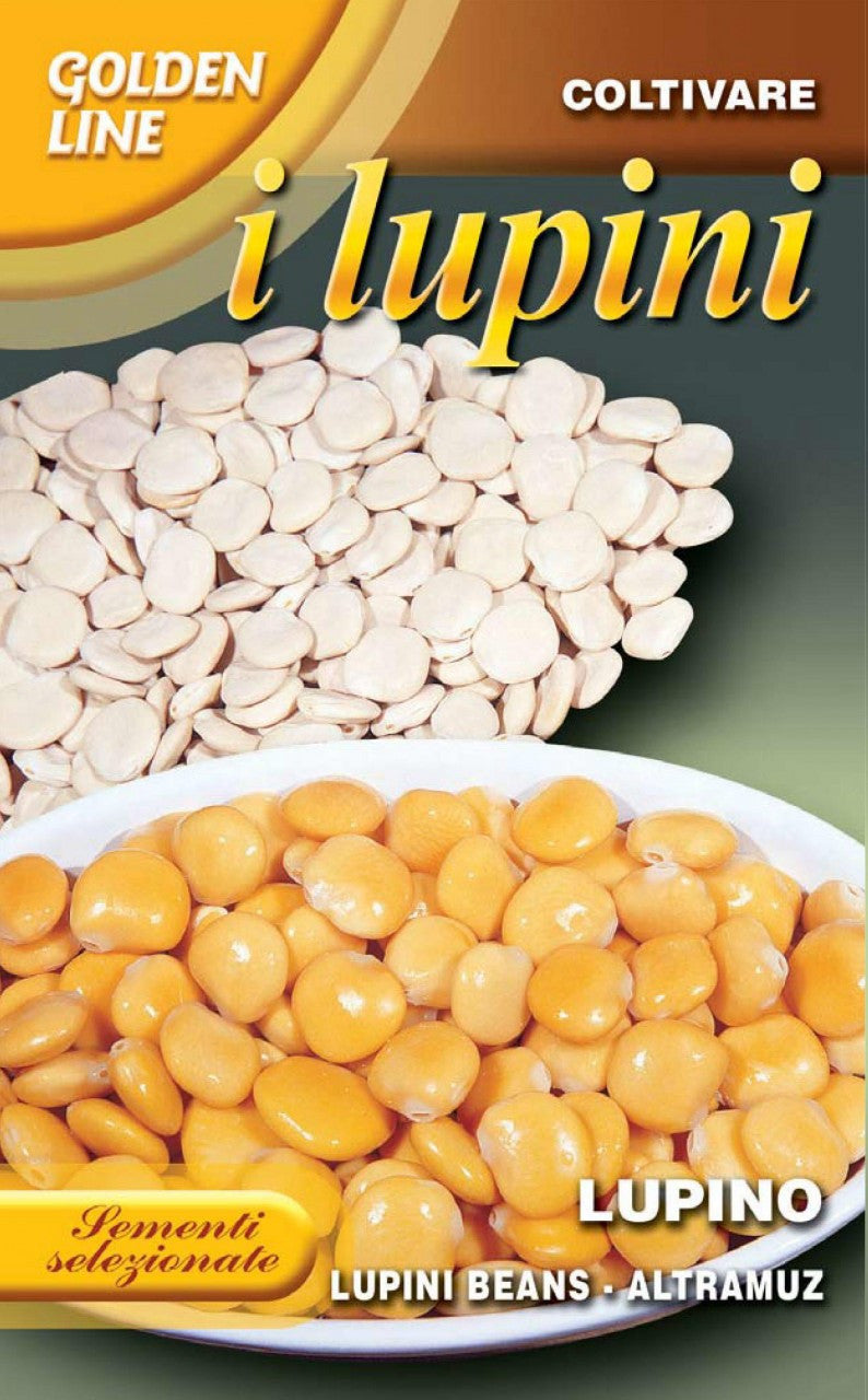 seed lupin bean plant Lupini Beans