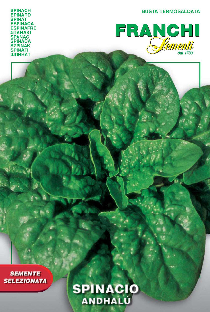 Spinach Andhalu (127-19)