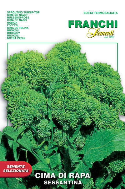 Semi Di Cima Di Rapa Sementi 'Sessantina' - 12g (circa 4800 Semi), Varietà Medio-Precoce