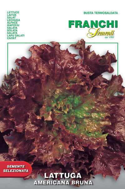 riccia seeds and garden Lettuce Frisee d'Amerique/American Bruna /Riccia Invernale (78-14)