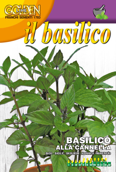 cinnamon plant seeds Basil - Alla Canella