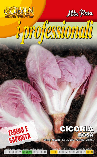 rosa seeds Chicory Rosa / Pink Radicchio (40-87)