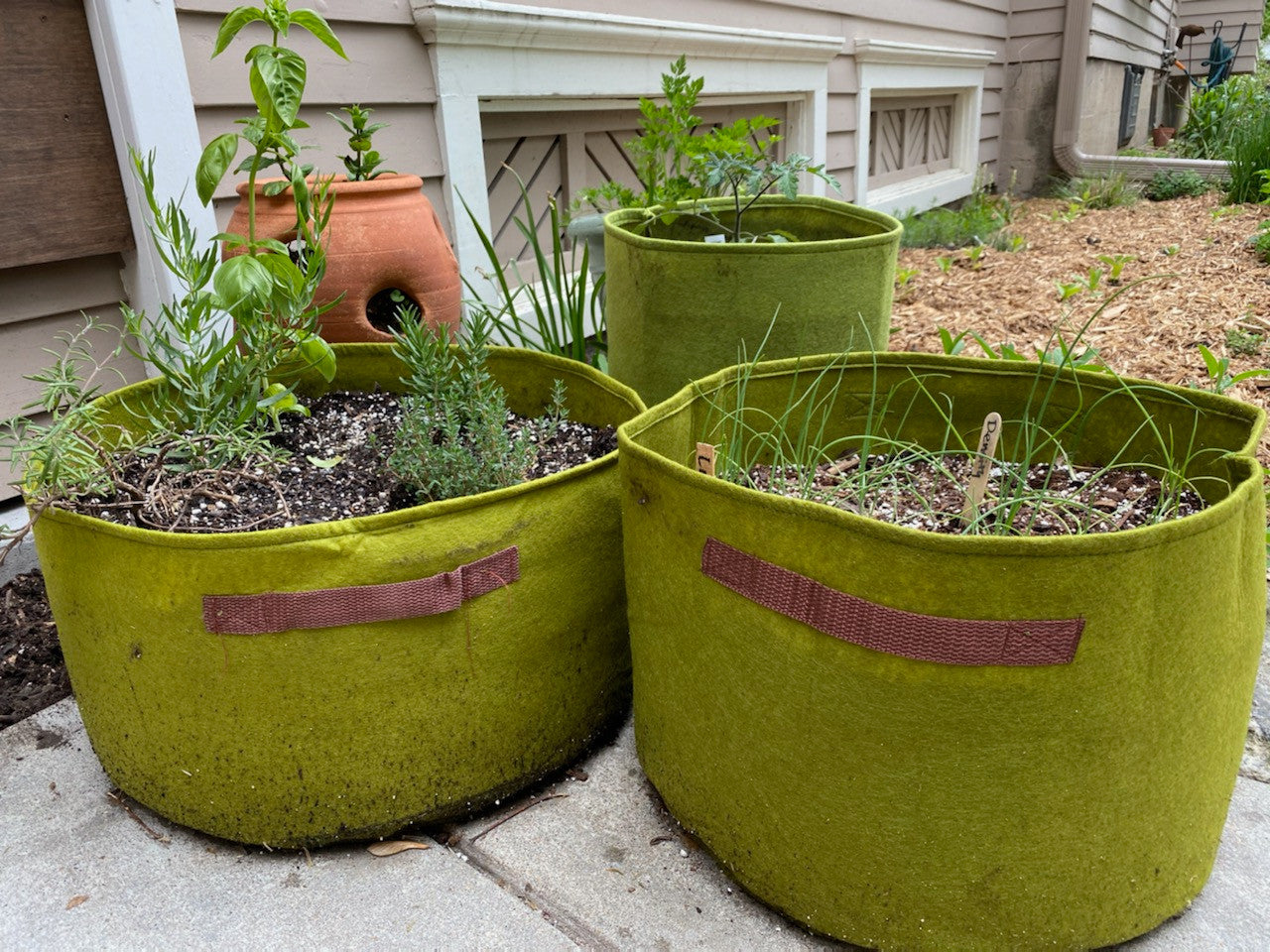 seeds planter Vigoroot Herb Patio Planter