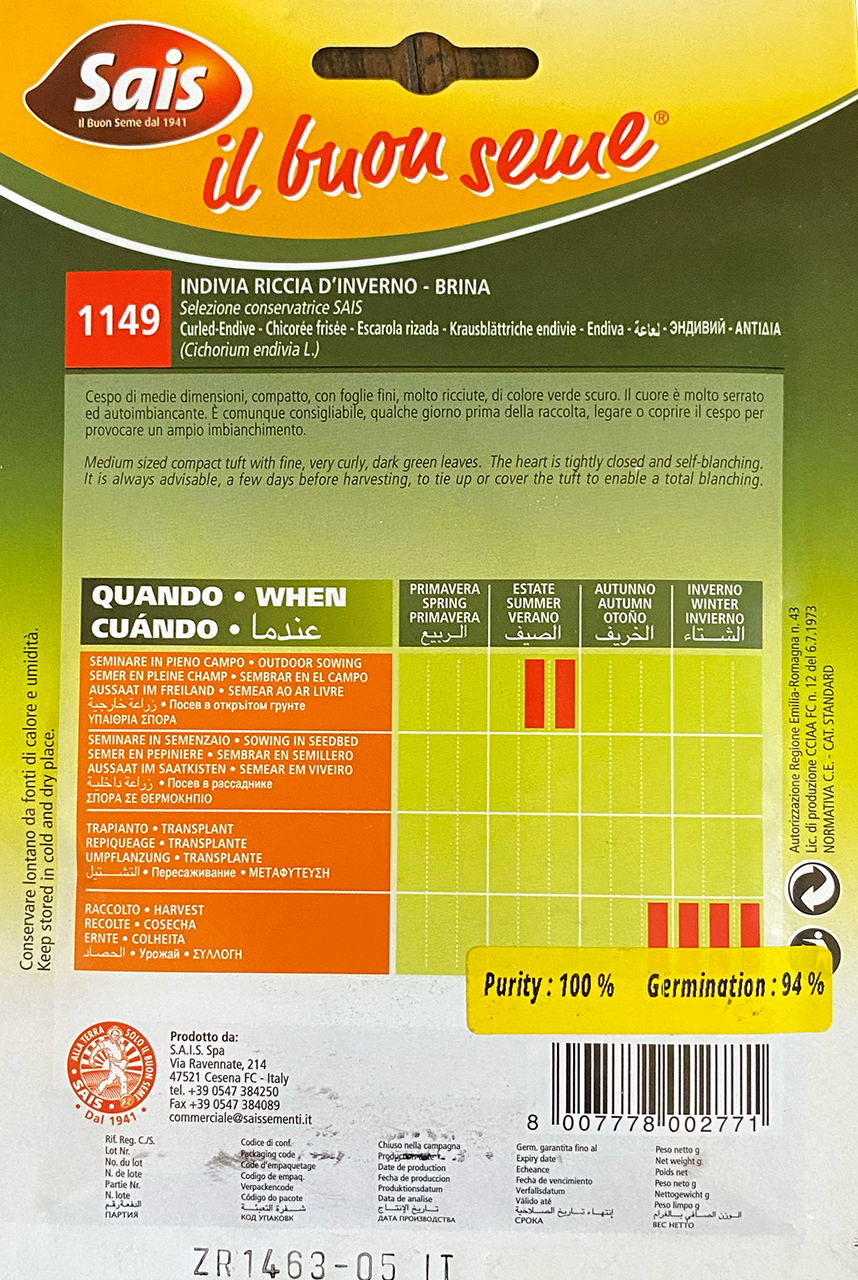 Endive Riccia d'Inverno (75-1149)