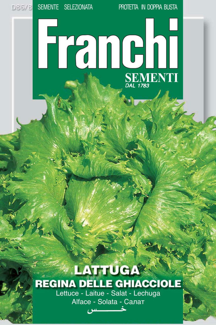garden seeds regina Franchi Seeds Organic Lettuce Regina Dei Ghiacci Seeds