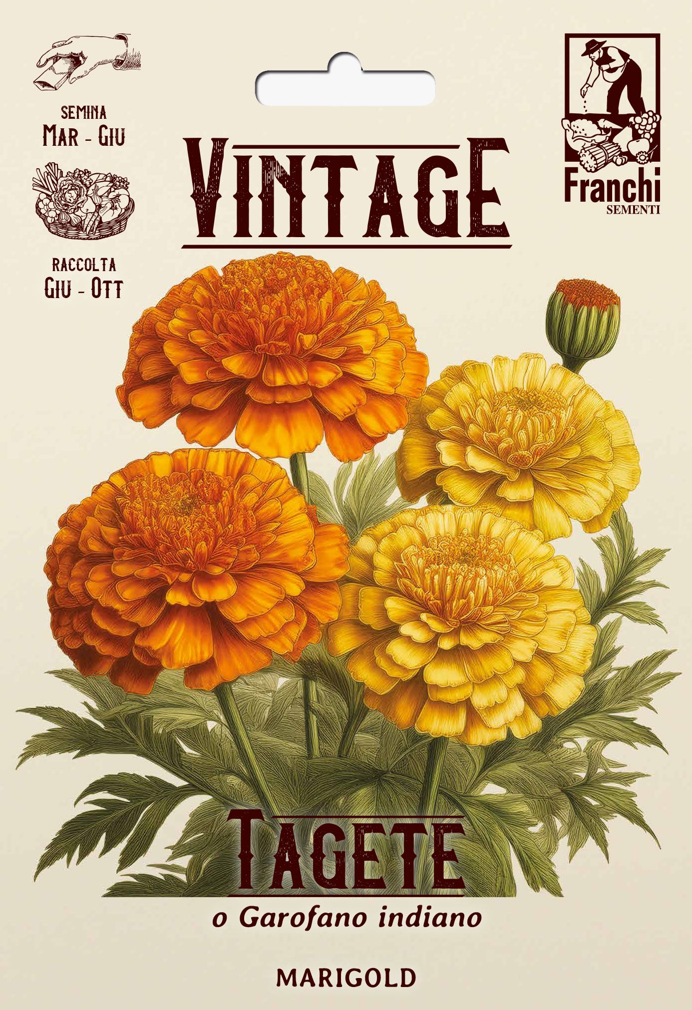 Vintage 1928 Tagete or African Marigold  Seeds from Italy