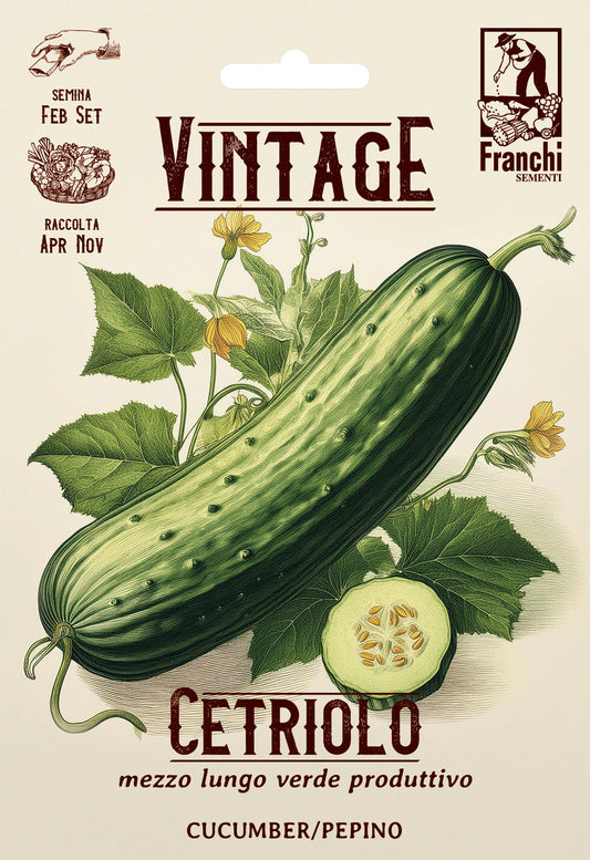 Vintage Cucumber Marketmore Half Length