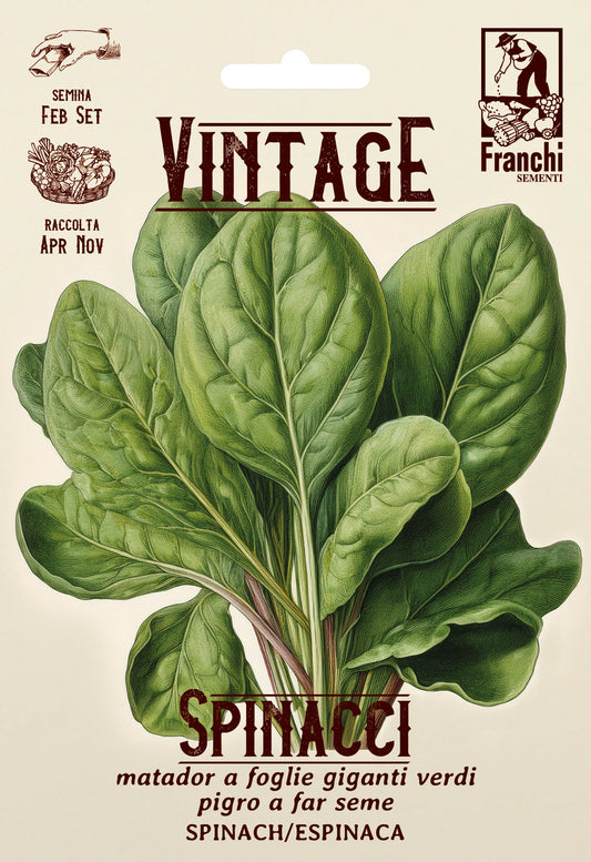 Vintage Giant Leaf Spinach Matador