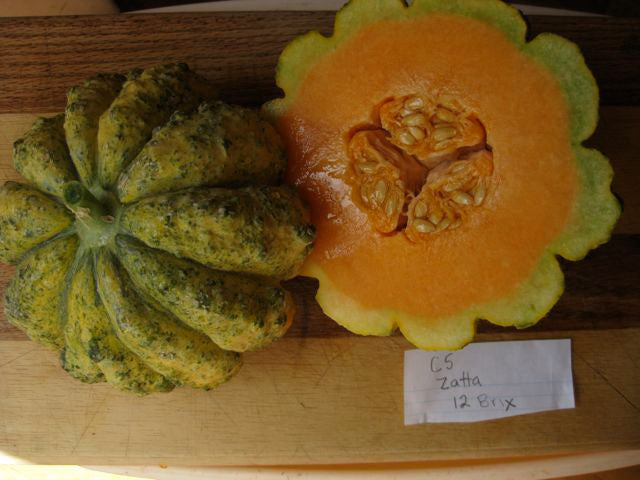 A Zatta grown by Holly Dumont. Brix was at 12, very sweet.