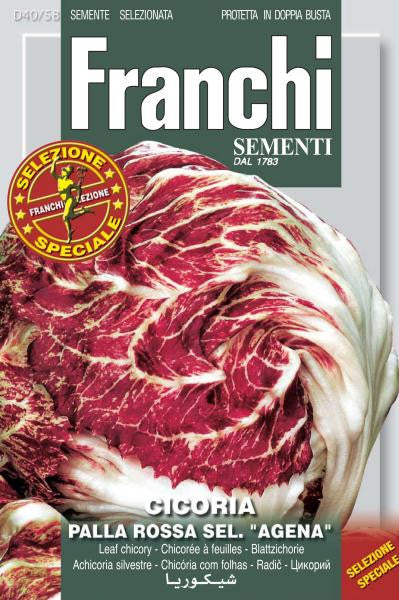 Radicchio Palla Rossa sel Agena (40-58)
