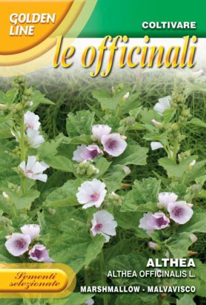 marshmallow plant seeds Marshmallow