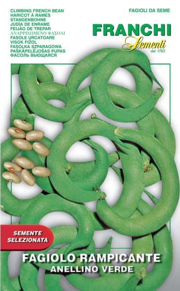 Bean Anellino Verde (57-17) – Seeds from Italy