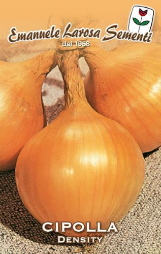 Onion Density / Dorata di Parma - Certified Organic (43-21B)