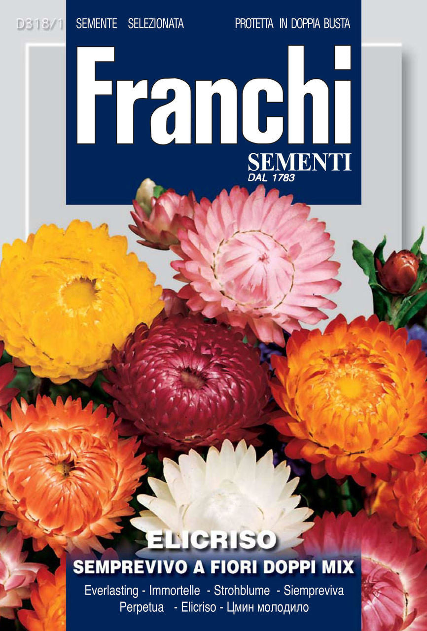 helichrysum flower seeds Franchi FDBF 318 1 Semprevivo Everlasting Flower Seeds
