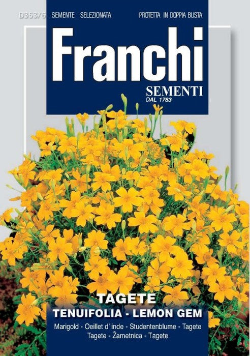 lemon gem marigold seeds Marigold