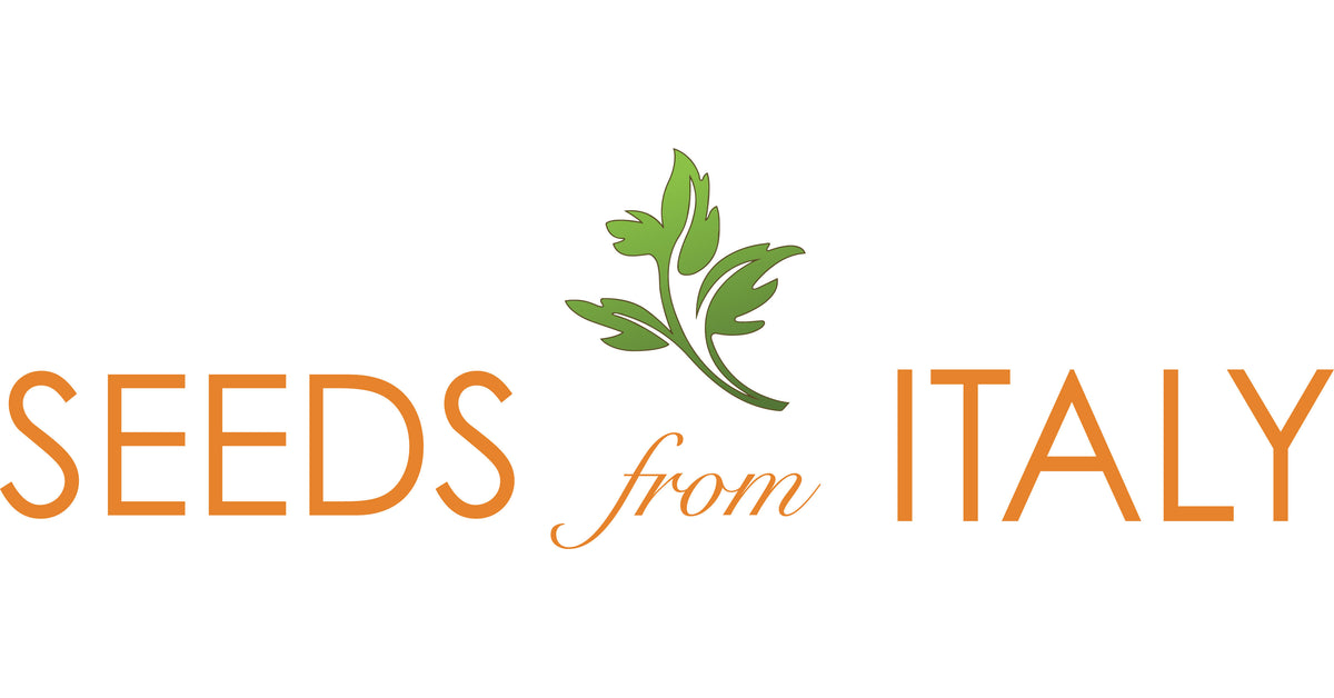 Seeds from Italy: Buy Heirloom Vegetables, Herbs & Flowers for Garden