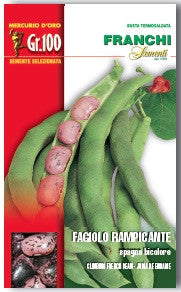 Pole Bean Spagna A Grano Bicolore (55-7)