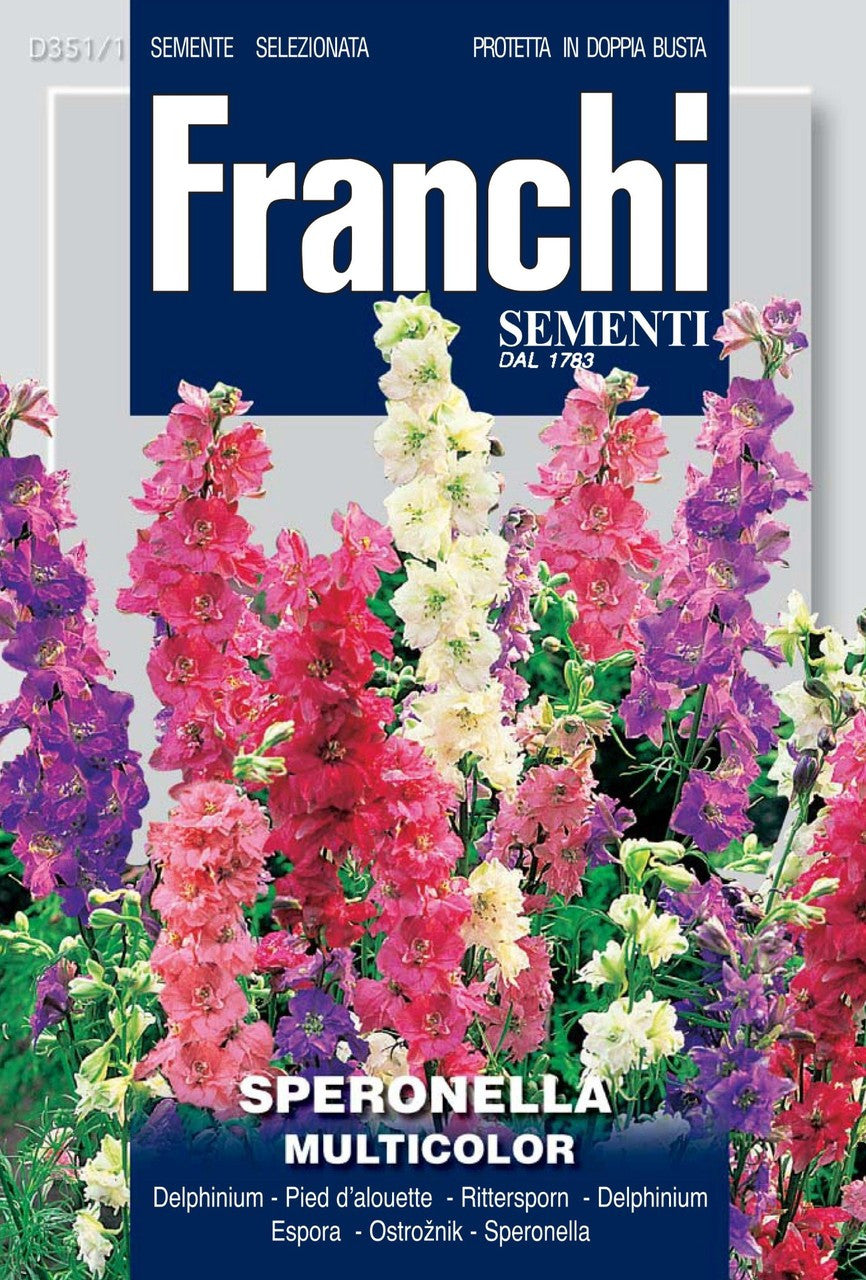 Larkspur -Speronella Delphinium Multicolor (351-1)