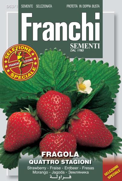 strawberry seed packet Aardbei Strawberry Four Seasons 63/1 zaden