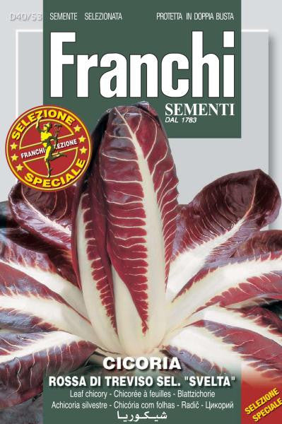 radicchio la rosa del veneto seeds Radicchio Rossa Treviso sel Svelta (40-53) – Seeds from Italy