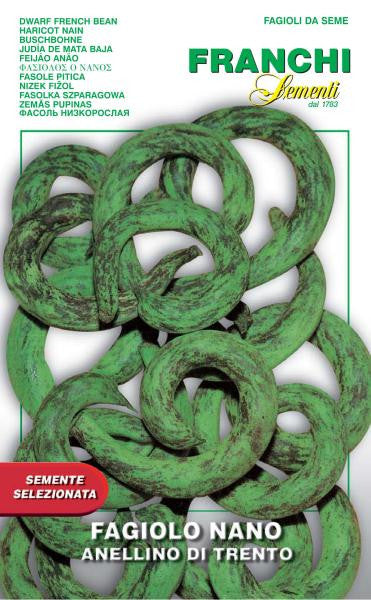 Bean Anellino di Trento (59-26) – Seeds from Italy
