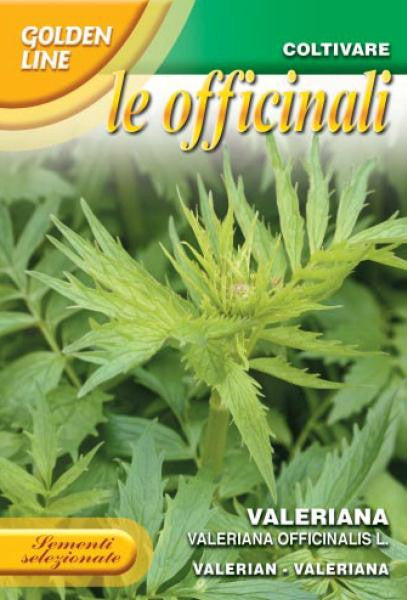 valerian plant seeds Valerian / Valeriana Officinalis (140-50) – Seeds from Italy