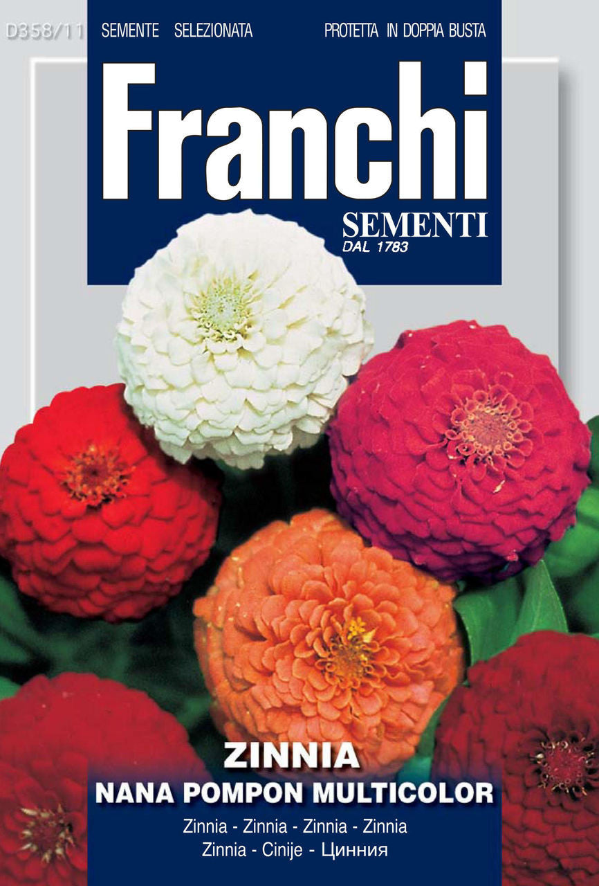 pom pom flower seeds Seeds Flower Zinnia Dwarf Pompom Mixed FFS 358/11 Franchi