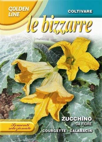 zucchini plant seeds Zucchino da Fiore / San Pasquale