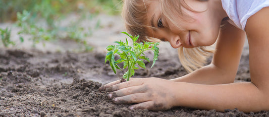 Five Steps to Planning Your Garden