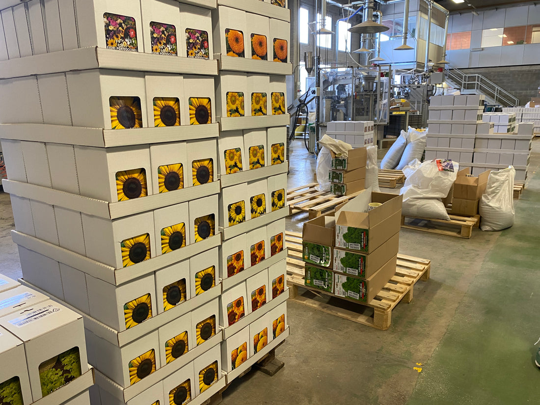 Tour the Franchi Sementi Factory With Us