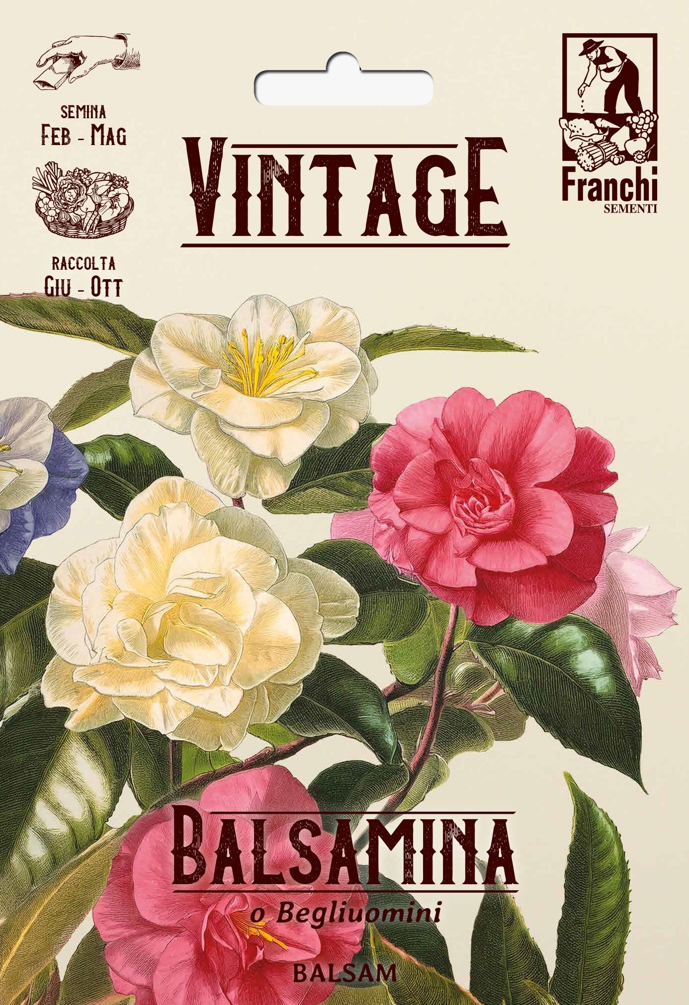 Vintage Flowers