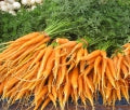 Carrots