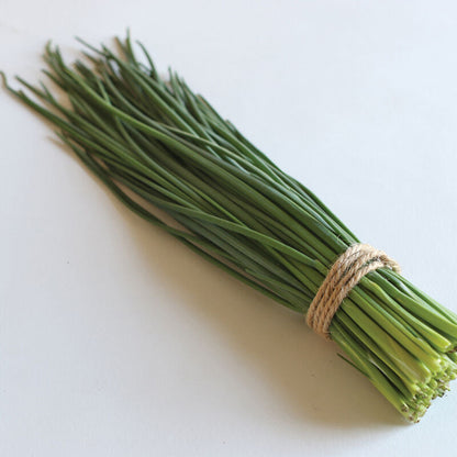 Seedling Bundle - Herb Mix (Spring)